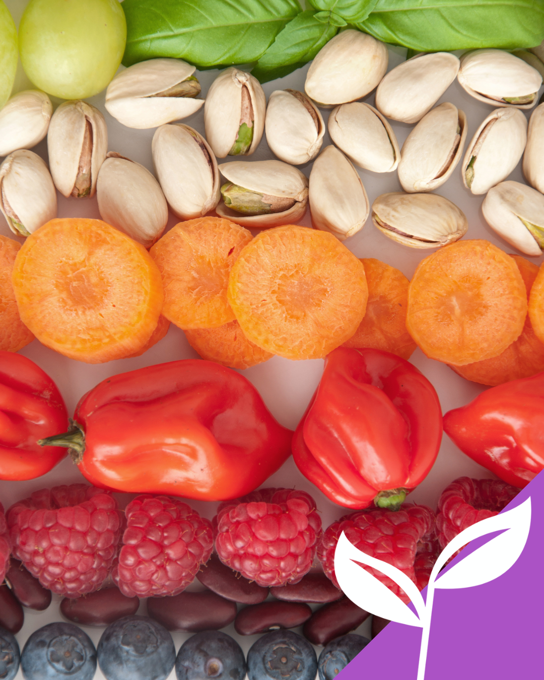 Fresh colourful fruit, vegetables and nuts